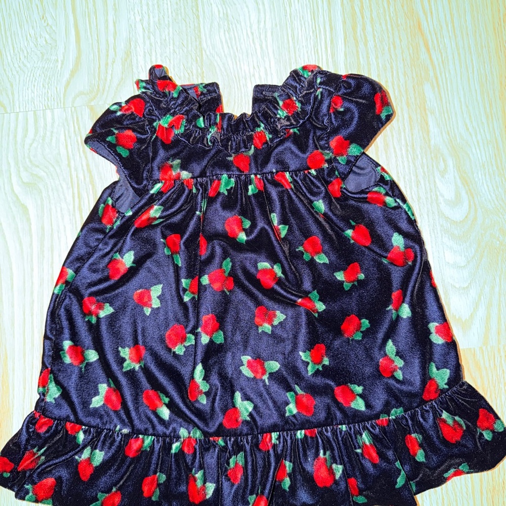 Janie and Jack Navy Dress with Red and Green Floral Accents